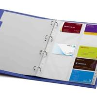 Classeur anneaux pour cartes de visite VISIFIX, A4 avec 20 pochettes (400 CV) - DURABLE