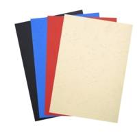 Paquet de 100 couvertures matière synthétique - reliure A4 - Couleurs assorties - EXACOMPTA