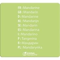 Boite imagiers 24 cartes multilingues (traduction 10 langues) 11,5x12,7 cm, Fruits - AVENUE MANDARINE