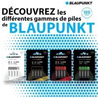 Pack 10 Piles AAA LR03 Alcalines Power - BLAUPUNKT