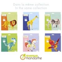 Puzzle 3D, Avion - - AVENUE MANDARINE