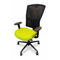 Siège de bureau ergonomique Drabert KINNARPS vert