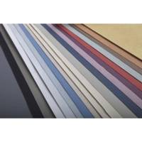 Bloc Ingres-Pastel encollé 18x24 130g blanc 25 feuilles - CLAIREFONTAINE