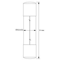 Ampoule de Type Fusible, 1,6 W 6,3 V (DC), 250 mA - GOOBAY