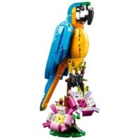 Creator 3-en-1 Le Perroquet Exotique - LEGO