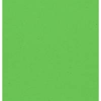 Rouleau Papier Kraft Couleur 65g 3x0,70m - Vert mousse - CLAIREFONTAINE