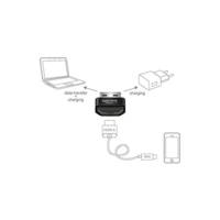 Adaptateur Prise femelle HDMI A vers fiche mâle USB A noir - DELOCK