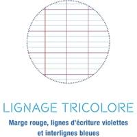 Cahier 8000 POLYPRO 24 x 32 cm 96 Pages 90g Violet - CLAIREFONTAINE