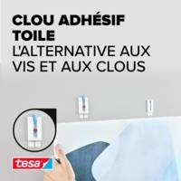Pack 2 Clous AdhésifPowerstrips 2Kg pour papier peint et plâtre - TESA