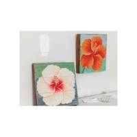 Powerstrips lot 2 crochets cadre photo +4 Strips large Blanc - TESA