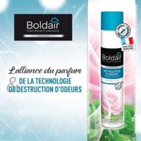 Aérosol 500 ml Désodorisant destructeur d'odeurs Fleurs boisées - BOLDAIR
