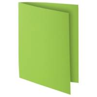 Paquet de 100 chemises ROCK''S 210g - 24x32cm - Vert Menthe - EXACOMPTA