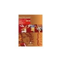 Bloc Pastelmat 12 Feuilles 360g 30x40cm couleurs assorties 4 teintes - CLAIREFONTAINE