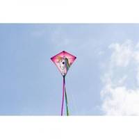 Cerf-volant Eddy 1 ligne Licorne Envergure 680 mm - HQ KITES