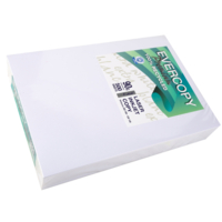 Ramette 500 Feuilles Papier 90g A4 210x297 mm Certifié Ange Bleu Premium Blanc - Clairefontaine