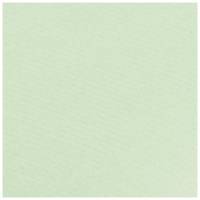Rouleau papier kraft 3x0.70m Vert bourgeon - CLAIREFONTAINE
