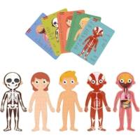 Puzzle - Enfant - 240 pièces - Apprendre le corps humain - APLI