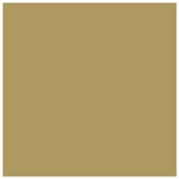 Pack de 25 Carte Simple 210g 160x160 or - Clairefontaine