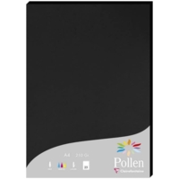 Etui de 25 Feuilles 210x297 noir 210g - Clairefontaine