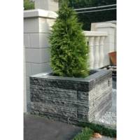 Bloc muret Pierre Bleue du Vietnam - 50x10x8cm - Gedimat - PENEZ HERMAN
