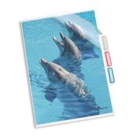 Sachet 5 Pochettes Coin d'organisation 3 Compartiments Transparent - DURABLE