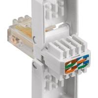 Fiche RJ45 CAT 5e UTP Sans Outils AWG 24-26 Blanc - GOOBAY