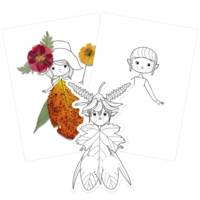 Carnet de coloriage Graffy nature trio - 12 Marionnettes à Doigts x 3 modèles - AVENUE MANDARINE