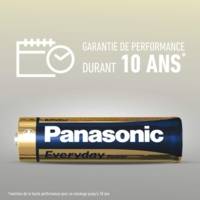 Pack de 2 Piles Alcalines Everyday Power Silver AA-LR6 1,5V - PANASONIC