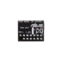 Carte et adaptateur d'interfaces Interne [TPM-SPI] 2.0 - ASUS
