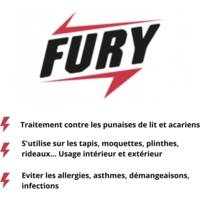 Flacon 500 ml Tue punaises de lit et acariens prêt à l'emploi - FURY