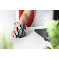 Souris Verto Ergonomique RF sans fil Optical 1600 DPI droitier - TRUST