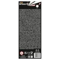 Pack durable 6 feutres INTENSITY BRUSH 2 en 1 PASTEL Double pointe - BIC