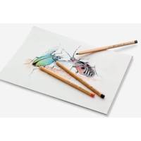 Crayon de couleur PITT PASTELL, hooker's vert - FABER-CASTELL