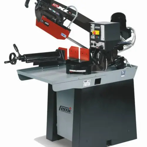 FEMI0221