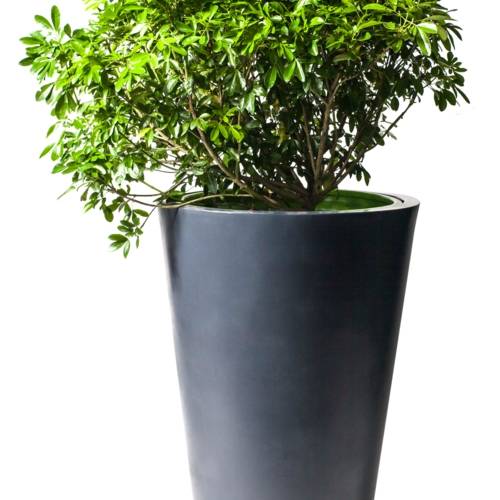 ATECH-POT-AMPHOR