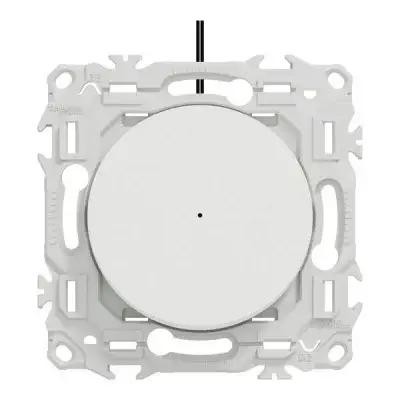 AUR00961