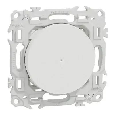 AUR00981