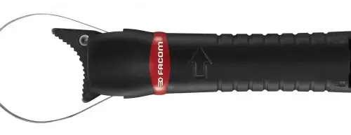 FAC30138