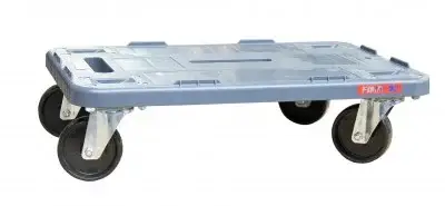 FIM00131
