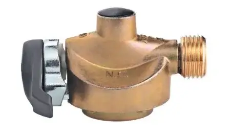 BRA10096