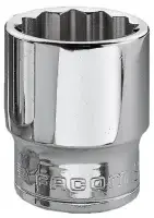 FAC30809