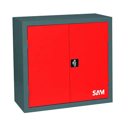 SAM06542