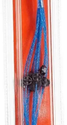BLK00012