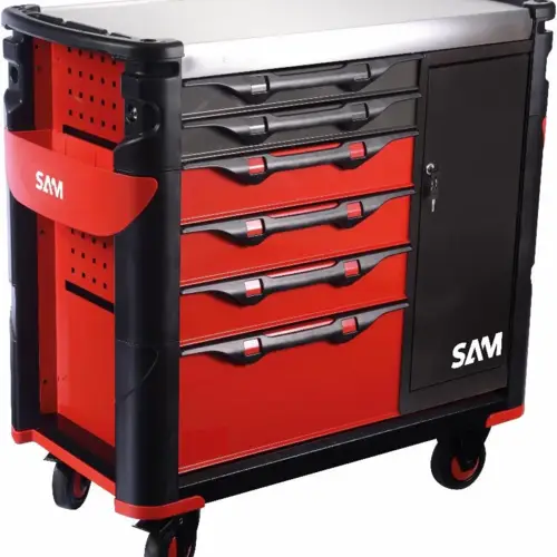 SAM06522