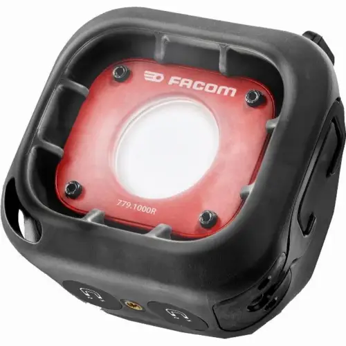 FAC31221