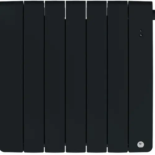 CGA40529