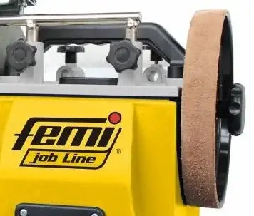 FEMI0569
